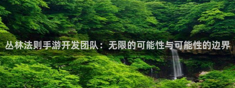 V8娱乐登录：丛林法则手游开发团队：无限的可能性与可能性的边