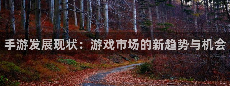 V8娱乐官网：手游发展现状：游戏市场的新趋势与机会