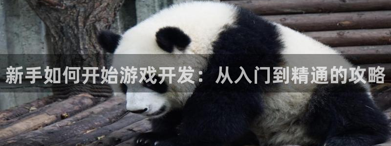 V8娱乐：新手如何开始游戏开发：从入门到精通的攻略