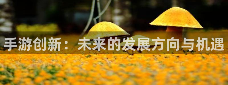 V8娱乐平台：手游创新：未来的发展方向与机遇